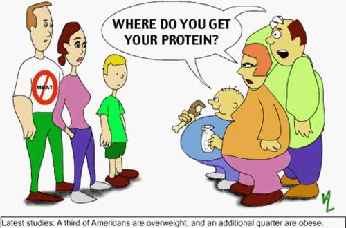 De dónde sacas las proteinas?