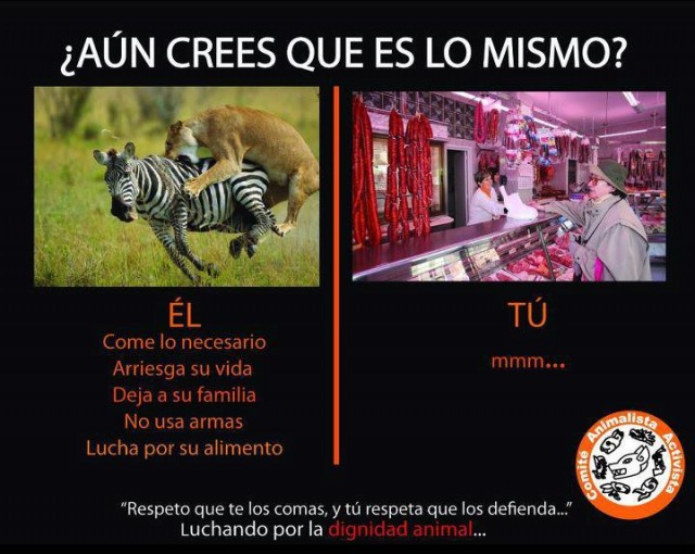¿Aun crees que es lo mismo? ¿Aun crees que es lo mismo?